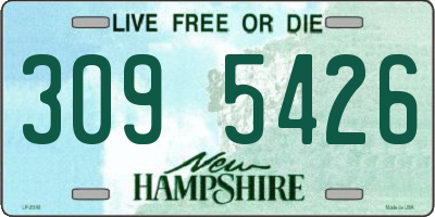 NH license plate 3095426