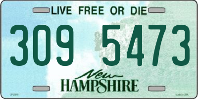 NH license plate 3095473