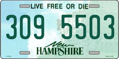 NH license plate 3095503