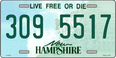 NH license plate 3095517
