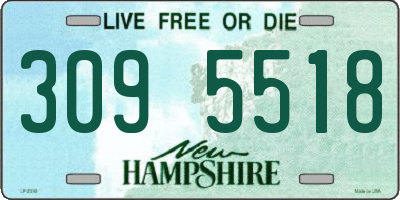 NH license plate 3095518