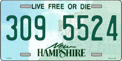 NH license plate 3095524