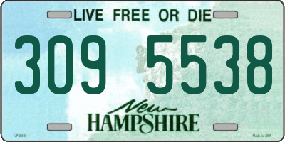 NH license plate 3095538