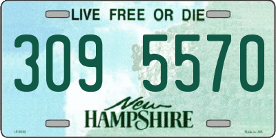 NH license plate 3095570