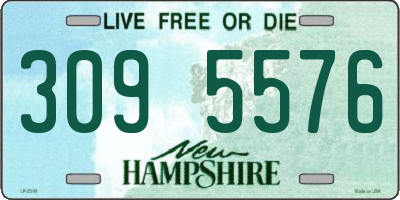 NH license plate 3095576