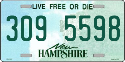 NH license plate 3095598