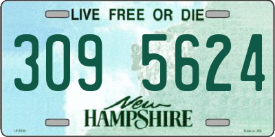 NH license plate 3095624