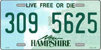 NH license plate 3095625