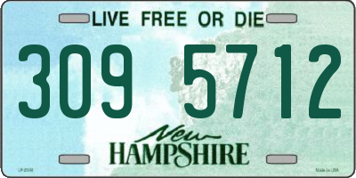 NH license plate 3095712