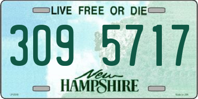 NH license plate 3095717