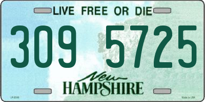 NH license plate 3095725