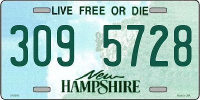 NH license plate 3095728
