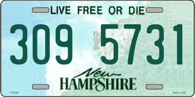 NH license plate 3095731