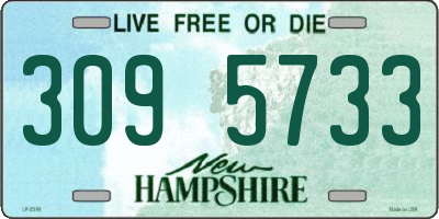 NH license plate 3095733