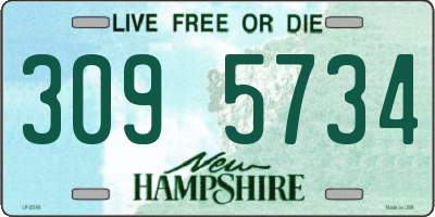 NH license plate 3095734
