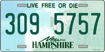 NH license plate 3095757