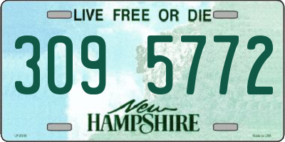 NH license plate 3095772