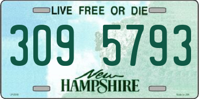 NH license plate 3095793