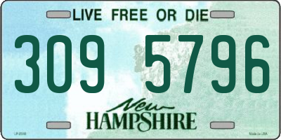 NH license plate 3095796
