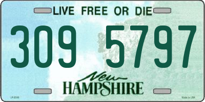 NH license plate 3095797