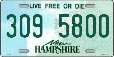 NH license plate 3095800