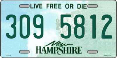 NH license plate 3095812