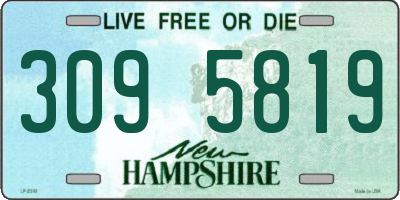 NH license plate 3095819