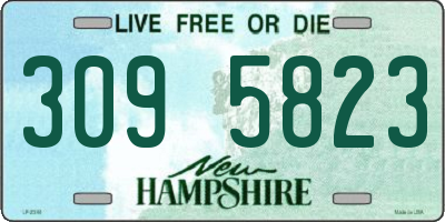 NH license plate 3095823