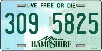 NH license plate 3095825
