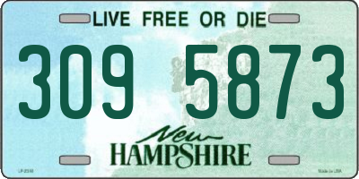 NH license plate 3095873