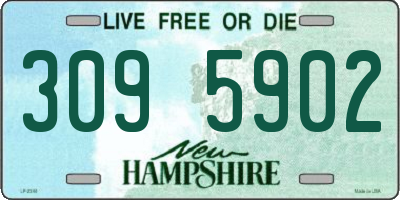NH license plate 3095902