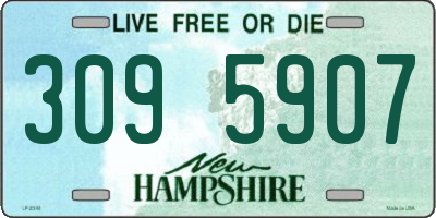 NH license plate 3095907