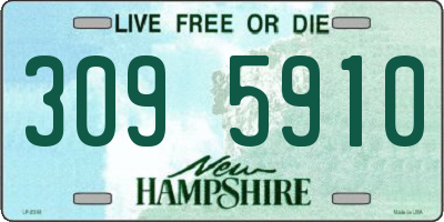 NH license plate 3095910