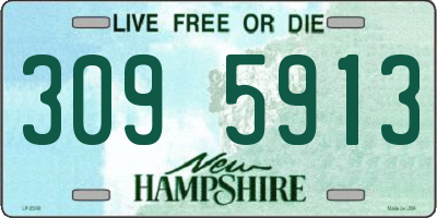 NH license plate 3095913