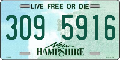 NH license plate 3095916
