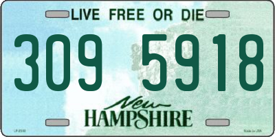 NH license plate 3095918
