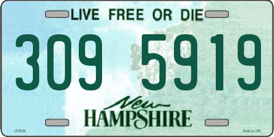 NH license plate 3095919