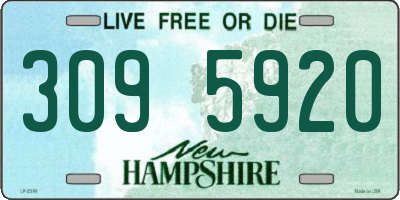 NH license plate 3095920