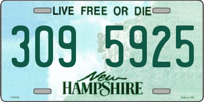 NH license plate 3095925
