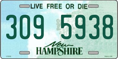 NH license plate 3095938