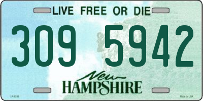 NH license plate 3095942
