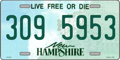 NH license plate 3095953