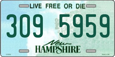 NH license plate 3095959