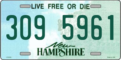 NH license plate 3095961