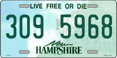 NH license plate 3095968