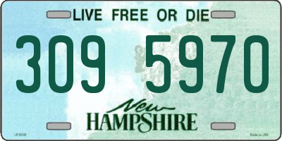 NH license plate 3095970