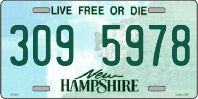 NH license plate 3095978