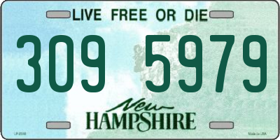 NH license plate 3095979
