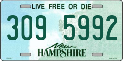 NH license plate 3095992