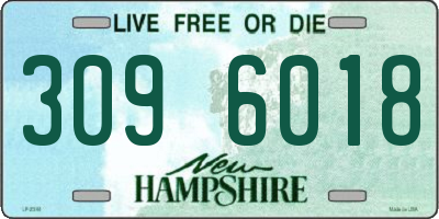 NH license plate 3096018